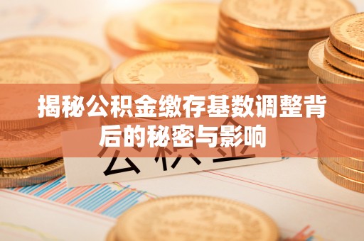 茄子河揭秘公积金缴存基数调整背后的秘密与影响