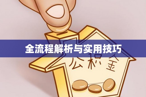 茄子河全流程解析与实用技巧