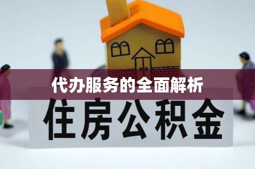 茄子河代办服务的全面解析