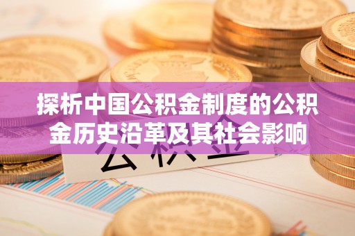 茄子河探析中国公积金制度的公积金历史沿革及其社会影响