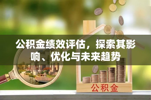 茄子河公积金绩效评估，探索其影响、优化与未来趋势