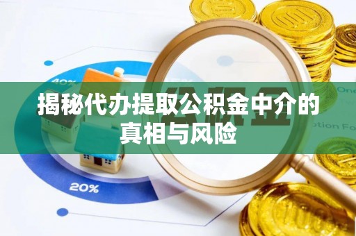 茄子河揭秘代办提取公积金中介的真相与风险