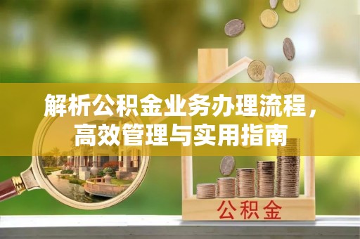 茄子河解析公积金业务办理流程，高效管理与实用指南