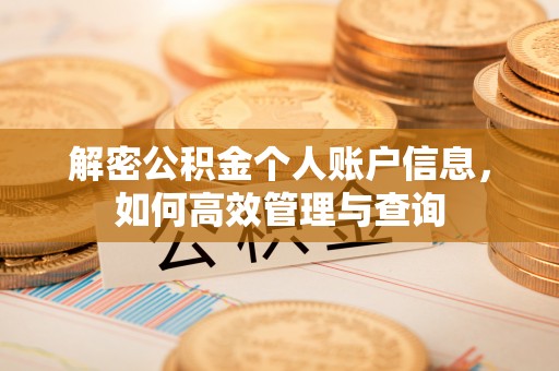 茄子河解密公积金个人账户信息，如何高效管理与查询