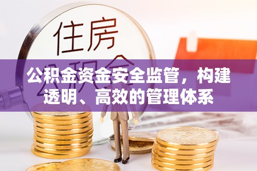 茄子河公积金资金安全监管，构建透明、高效的管理体系