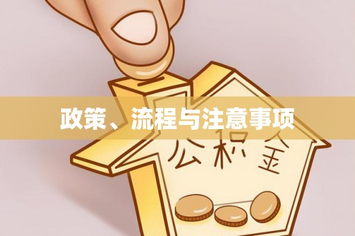 茄子河政策、流程与注意事项