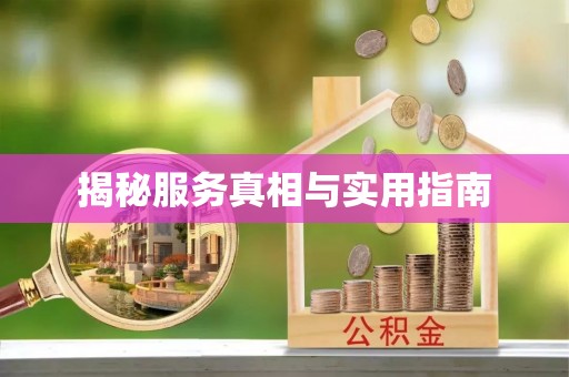 茄子河揭秘服务真相与实用指南