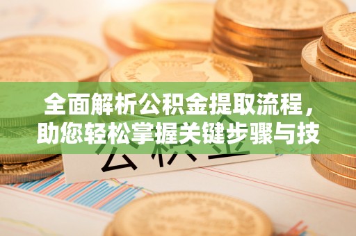 茄子河全面解析公积金提取流程，助您轻松掌握关键步骤与技巧