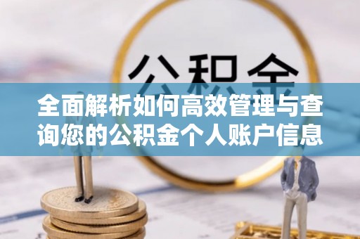 茄子河全面解析如何高效管理与查询您的公积金个人账户信息