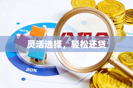 茄子河灵活选择，轻松还贷