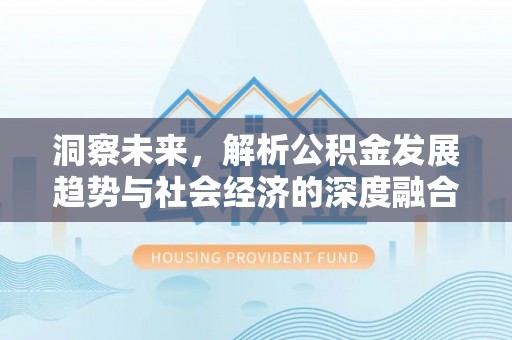 茄子河洞察未来，解析公积金发展趋势与社会经济的深度融合