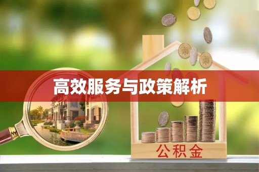 茄子河高效服务与政策解析