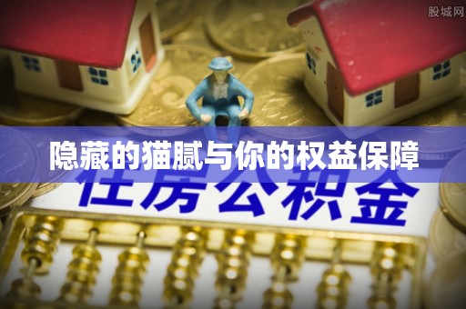 茄子河隐藏的猫腻与你的权益保障