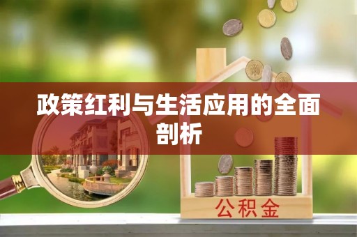 茄子河政策红利与生活应用的全面剖析
