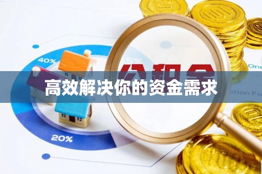 茄子河高效解决你的资金需求