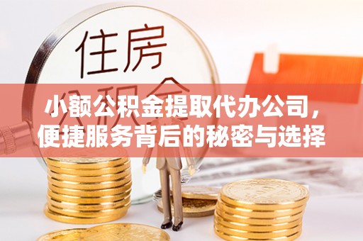 茄子河小额公积金提取代办公司，便捷服务背后的秘密与选择指南