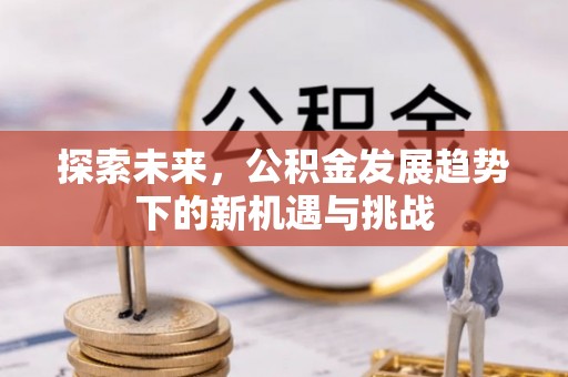 茄子河探索未来，公积金发展趋势下的新机遇与挑战
