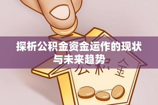 茄子河探析公积金资金运作的现状与未来趋势