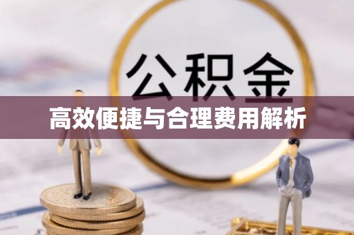 茄子河高效便捷与合理费用解析