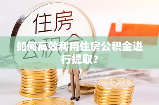 茄子河如何高效利用住房公积金进行提取？