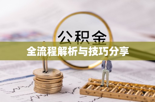 茄子河全流程解析与技巧分享