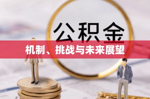 茄子河机制、挑战与未来展望