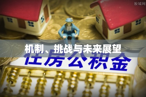 茄子河机制、挑战与未来展望